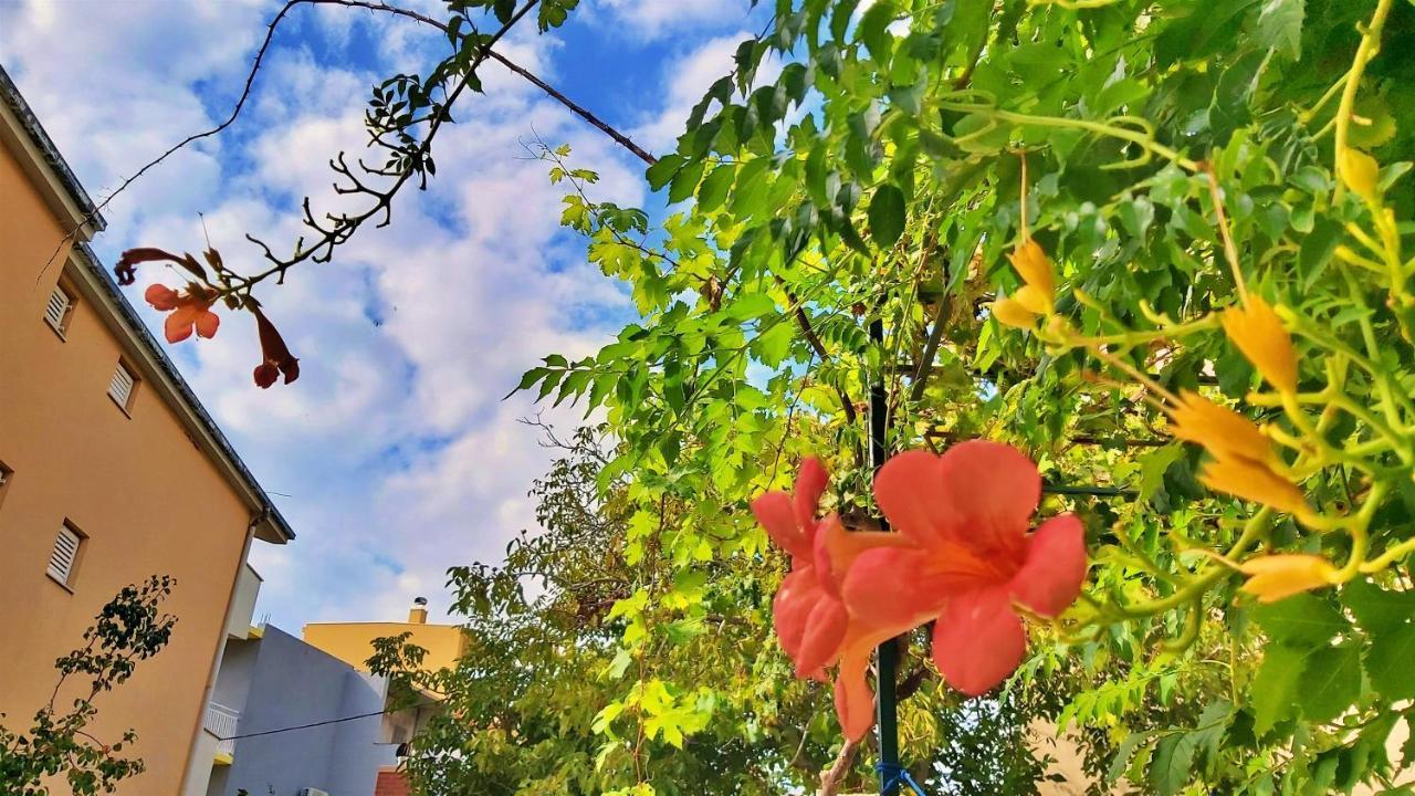 Apartments Nemira أوميس المظهر الخارجي الصورة